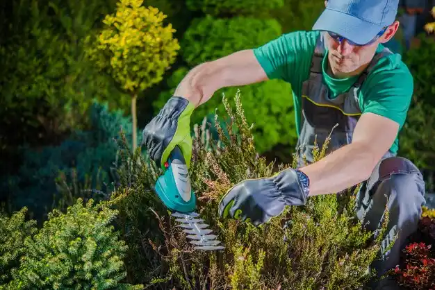 landscaping services Decatur